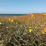 6 Person In Harboore Harboor